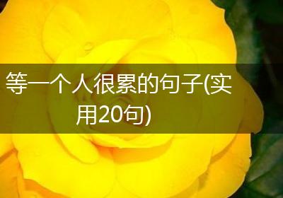 等一个人很累的句子(实用20句)