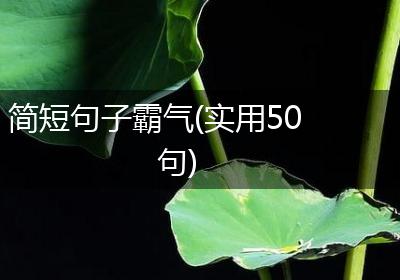 简短句子霸气(实用50句)