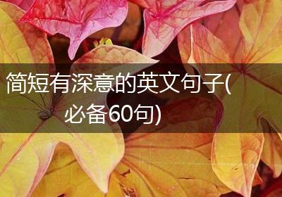 简短有深意的英文句子(必备60句)