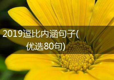 2019逗比内涵句子(优选80句)