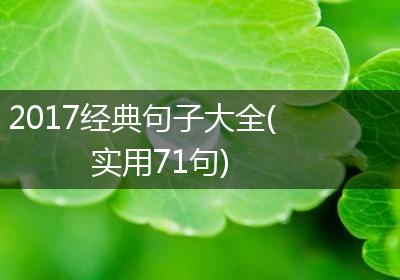 2017经典句子大全(实用71句)