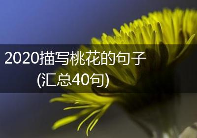 2020描写桃花的句子(汇总40句)