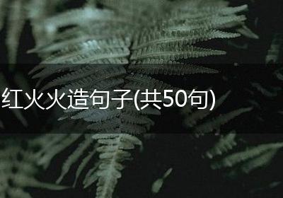 红火火造句子(共50句)