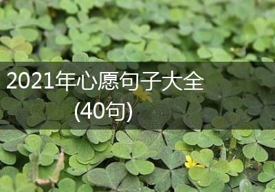 2021年心愿句子大全(40句)