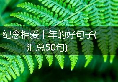 纪念相爱十年的好句子(汇总50句)