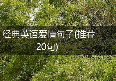 经典英语爱情句子(推荐20句)