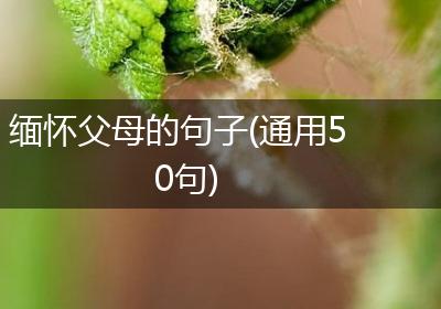 缅怀父母的句子(通用50句)