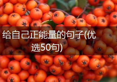给自己正能量的句子(优选50句)
