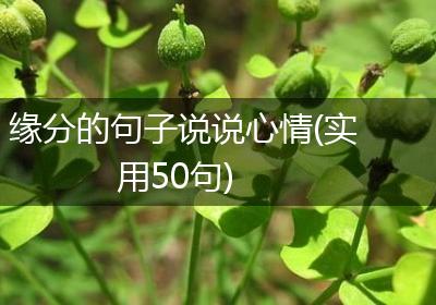 缘分的句子说说心情(实用50句)