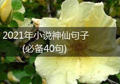2021年小说神仙句子(必备40句)