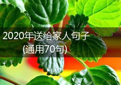 2020年送给家人句子(通用70句)