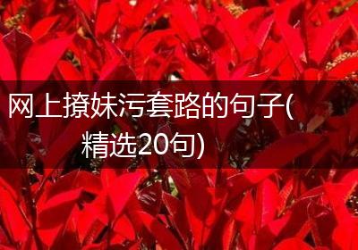 网上撩妹污套路的句子(精选20句)