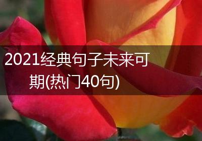 2021经典句子未来可期(热门40句)
