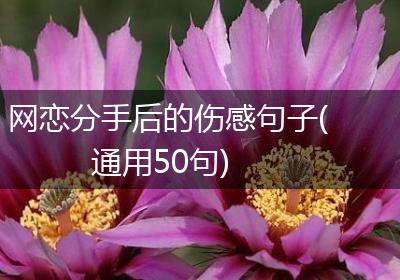 网恋分手后的伤感句子(通用50句)