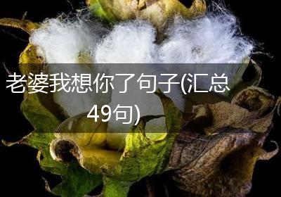 老婆我想你了句子(汇总49句)