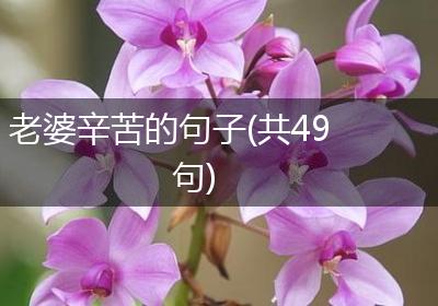 老婆辛苦的句子(共49句)