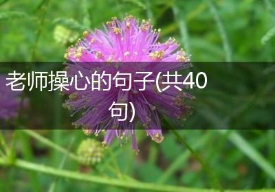 老师操心的句子(共40句)