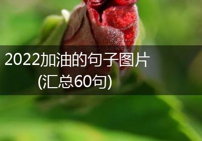 2022加油的句子图片(汇总60句)