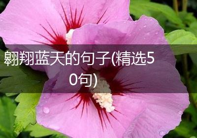 翱翔蓝天的句子(精选50句)