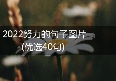 2022努力的句子图片(优选40句)