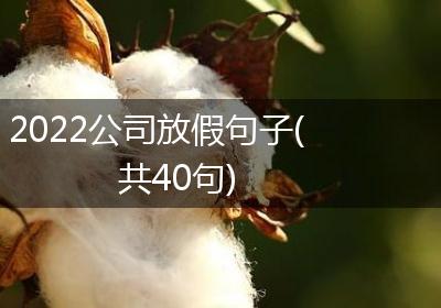 2022公司放假句子(共40句)