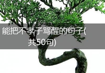能把不孝子骂醒的句子(共50句)