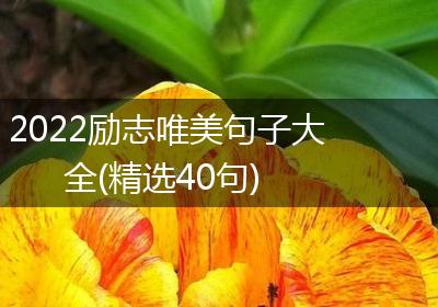 2022励志唯美句子大全(精选40句)