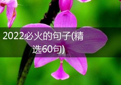 2022必火的句子(精选60句)