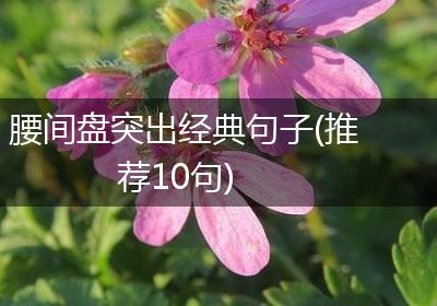 腰间盘突出经典句子(推荐10句)