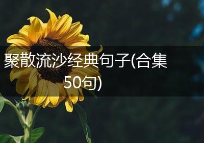 聚散流沙经典句子(合集50句)