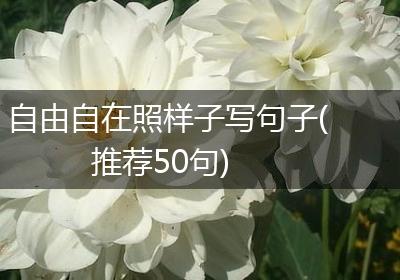 自由自在照样子写句子(推荐50句)