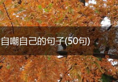 自嘲自己的句子(50句)