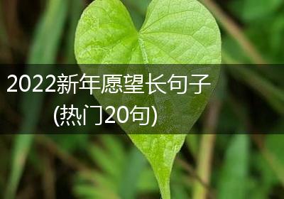 2022新年愿望长句子(热门20句)