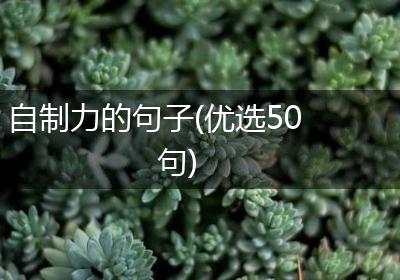 自制力的句子(优选50句)