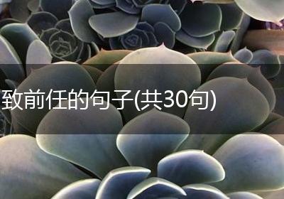 致前任的句子(共30句)