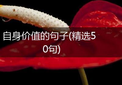 自身价值的句子(精选50句)