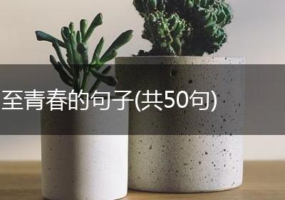 至青春的句子(共50句)