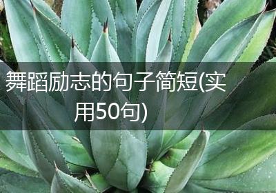 舞蹈励志的句子简短(实用50句)