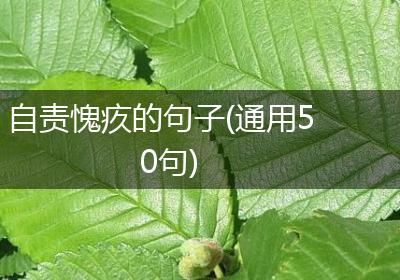 自责愧疚的句子(通用50句)