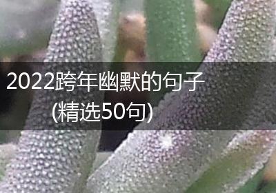 2022跨年幽默的句子(精选50句)