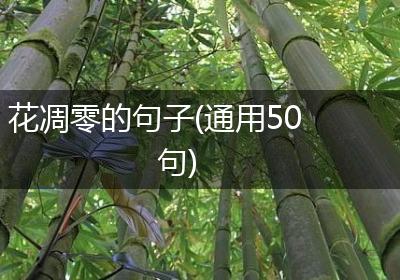 花凋零的句子(通用50句)