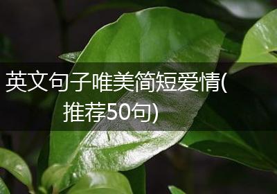 英文句子唯美简短爱情(推荐50句)