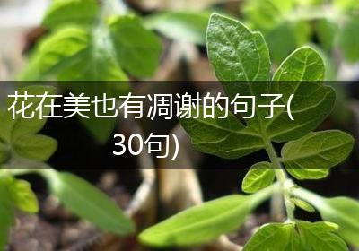 花在美也有凋谢的句子(30句)