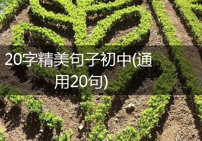 20字精美句子初中(通用20句)