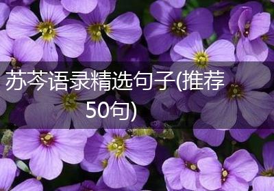 苏芩语录精选句子(推荐50句)
