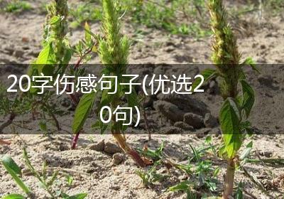 20字伤感句子(优选20句)
