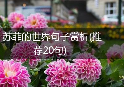 苏菲的世界句子赏析(推荐20句)