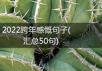 2022跨年感慨句子(汇总50句)