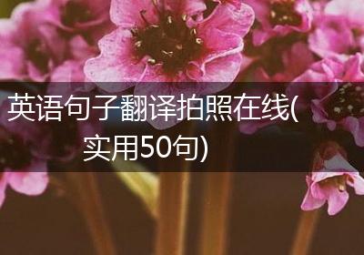 英语句子翻译拍照在线(实用50句)