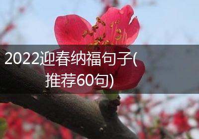 2022迎春纳福句子(推荐60句)